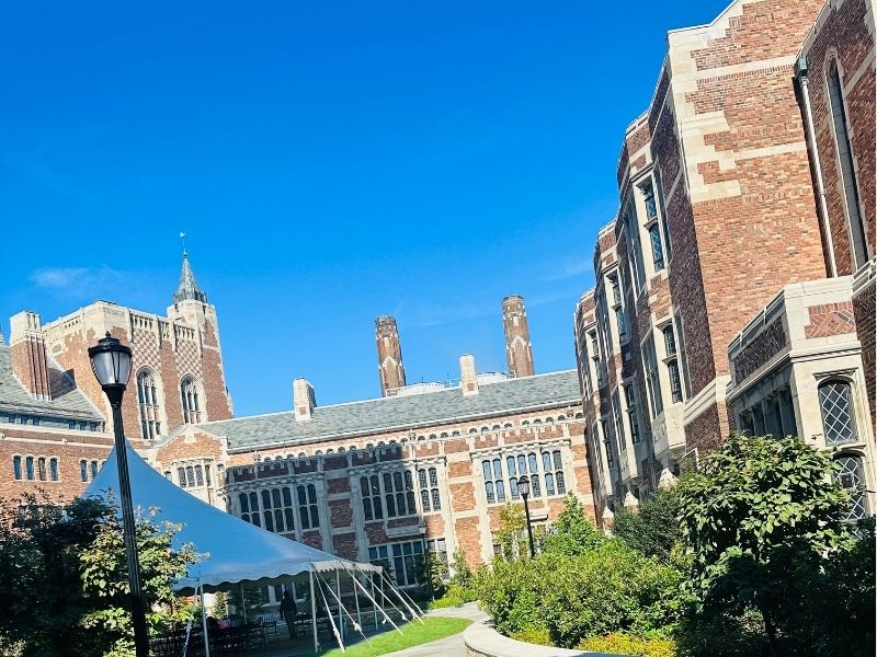 Yale Univerzity